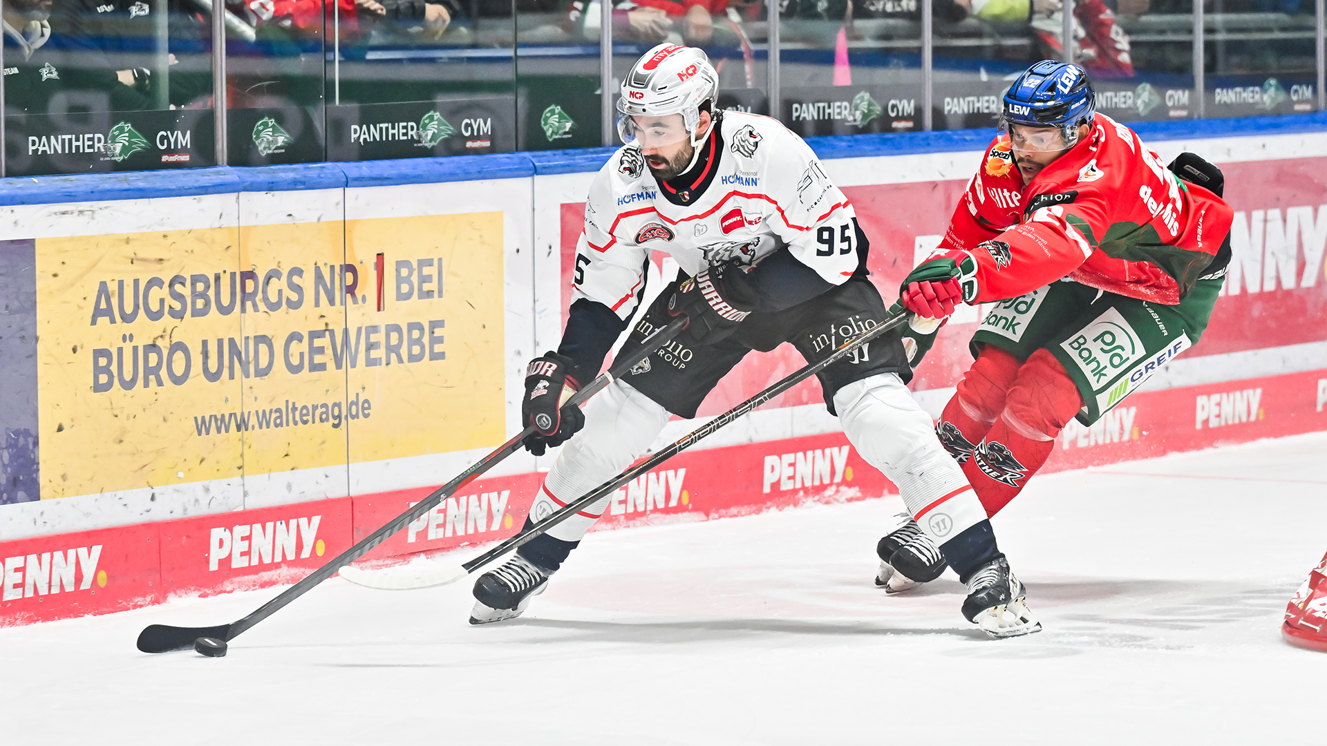 Augsburger Panther gg. Nürnberg Ice Tigers